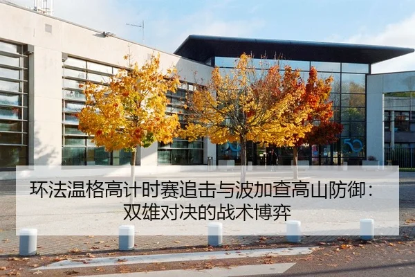 环法温格高计时赛追击与波加查高山防御：双雄对决的战术博弈