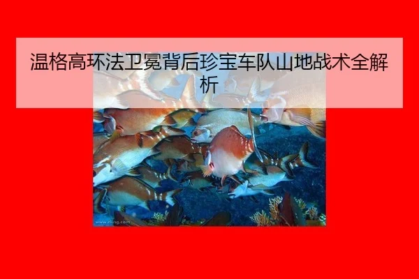 wen-ge-gao-huan-fa-wei-mian-bei-hou-zhen-bao-che-dui-shan-di-zhan-shu-quan-jie-xi-2-818.jpg