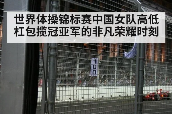 世界体操锦标赛中国女队高低杠包揽冠亚军的非凡荣耀时刻